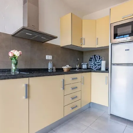 Fuer 3 Personen Ca 45 Qm In Burrillas, Gran Canaria Westkueste Gran Canaria Holiday home