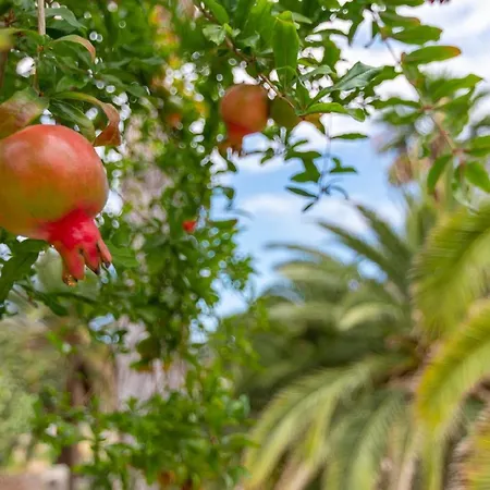 Fuer 3 Personen Ca 45 Qm In Burrillas, Gran Canaria Westkueste Gran Canaria Mogan